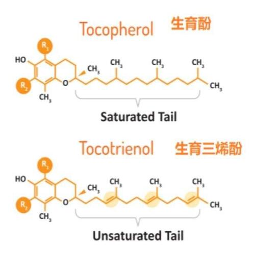 對頭髮與身體有多種益處的生育三稀酚