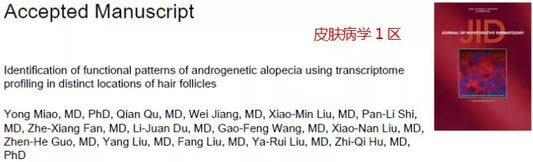 【成功案例】--轉錄組測序帶你認識雄激素性脫髮的功能模式